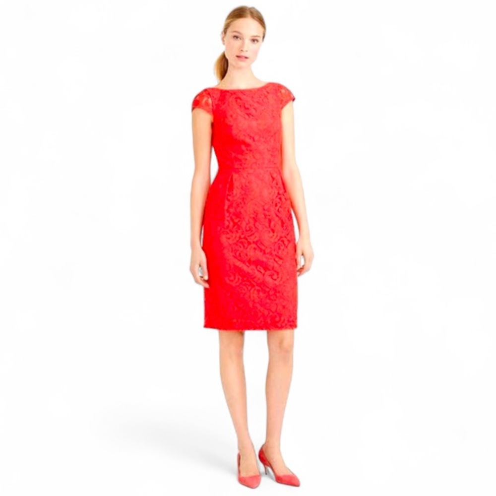 J. CREW Elsa Poppy Lace Dress